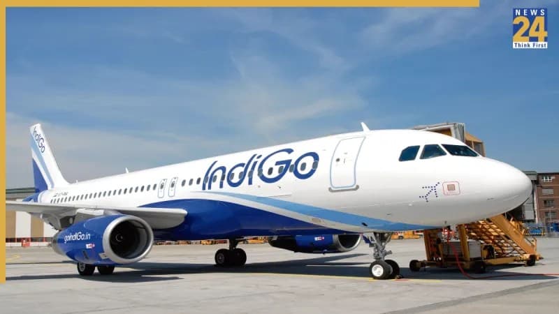 INDIGO-FLIGHT