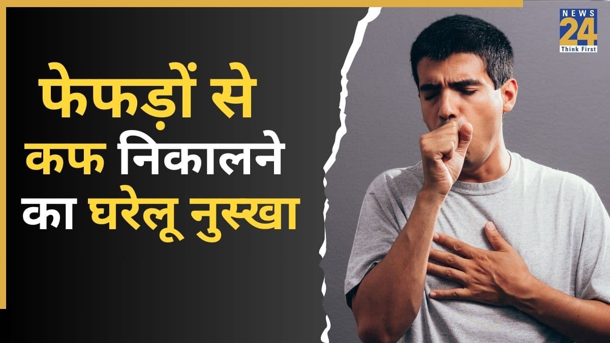 Lungs Detox: फेफड़ों की सफाई के लिए अपनाएं आयुर्वेदिक तरीका, सिर्फ एक लकड़ी चबाने से मक्खन की तरह पिघलेगा बलगम