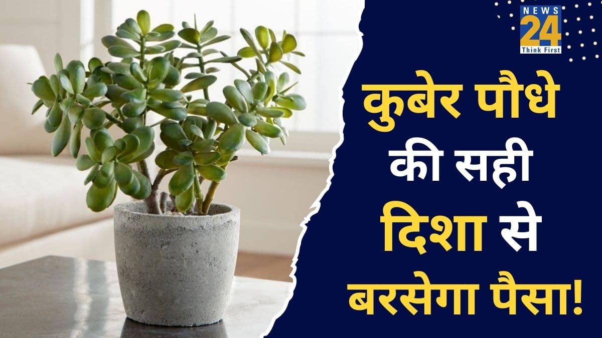 Kuber ka Paudha: पैसों की कमी से परेशान हैं, घर की इस दिशा में लगाएं कुबेर का पौधा, जमकर बरसेगा धन