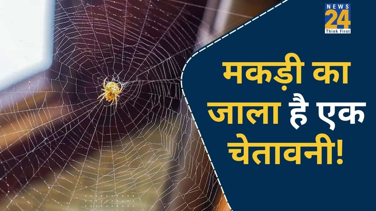 Makadi ki Jala: घर में मकड़ी का जाला क्यों माना जाता है अशुभ? जानिए मकड़ी के जाले से जुड़ा डरावना सच