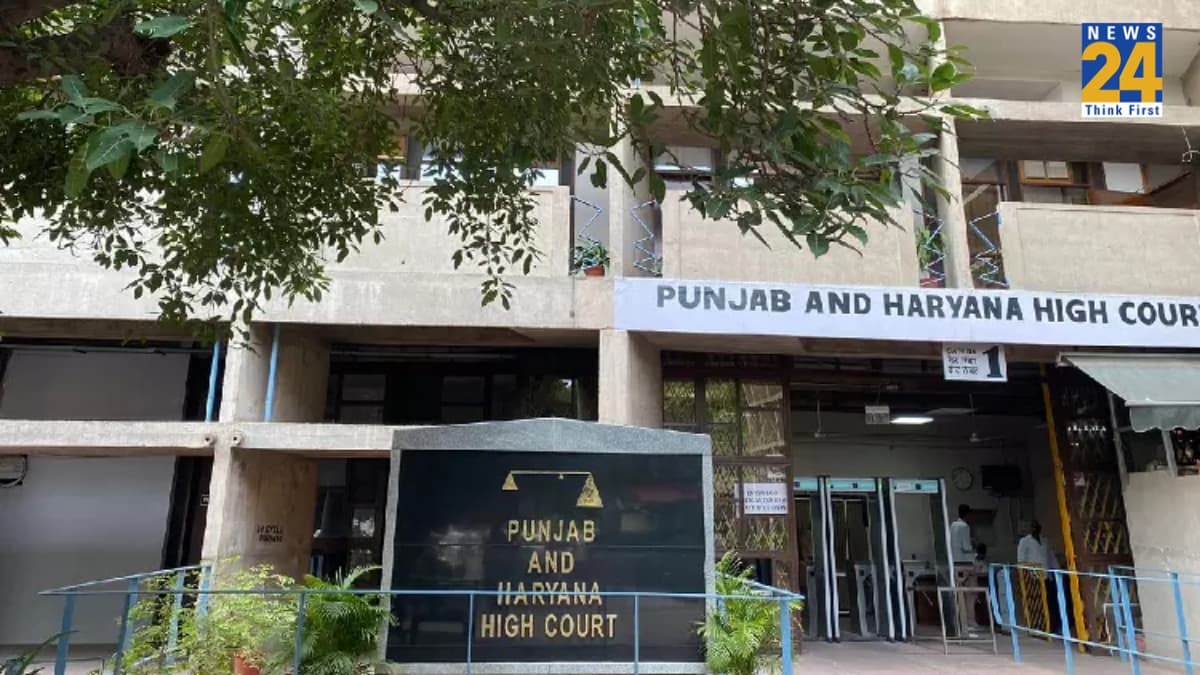 पंजाब में पर्यावरण पर सख्त हुआ हाई कोर्ट, विशेष अनुमति के बिना पेड़ काटने पर लगाया प्रतिबंध