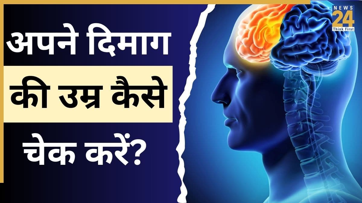 Signs Your Brain Is Ageing Faster: क्या 30 साल की उम्र में ही बूढ़ा हो रहा है आपका दिमाग? ये 4 लक्षण बताएंगे हकीकत 