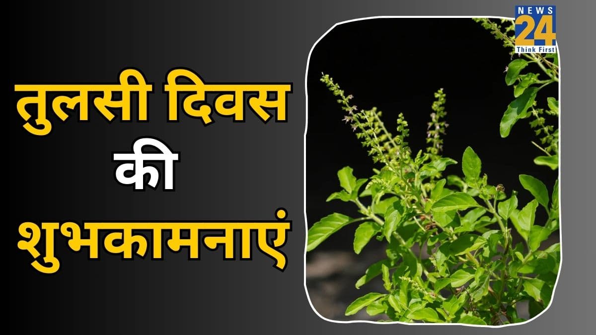 Tulsi Pujan Diwas 2025 Wishes: जिस घर में होती है तुलसी, वो घर स्वर्ग समान है... सभी को भेजिए तुलसी दिवस की ये खास शुभकामनाएं