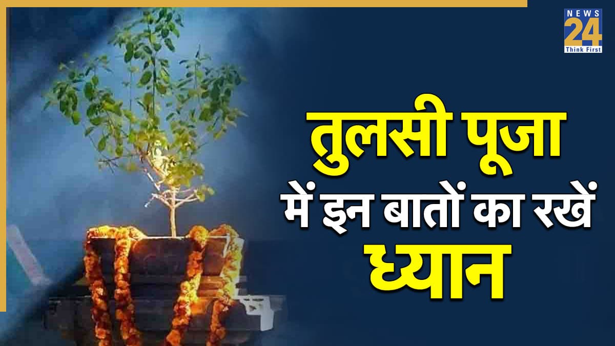 Tulsi Puja Rules: तुलसी के पौधे की पूजा में कई बातों का रखें ध्यान, पत्ते तोड़ने के लिए भी है खास नियम