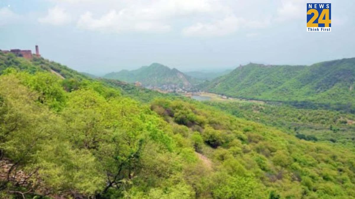 गुजरात के जंगलों तथा अरावली पहाड़ियों के संरक्षण के लिए राज्य सरकार सदैव कटिबद्ध: वन मंत्री अर्जुनभाई मोढवाडिया