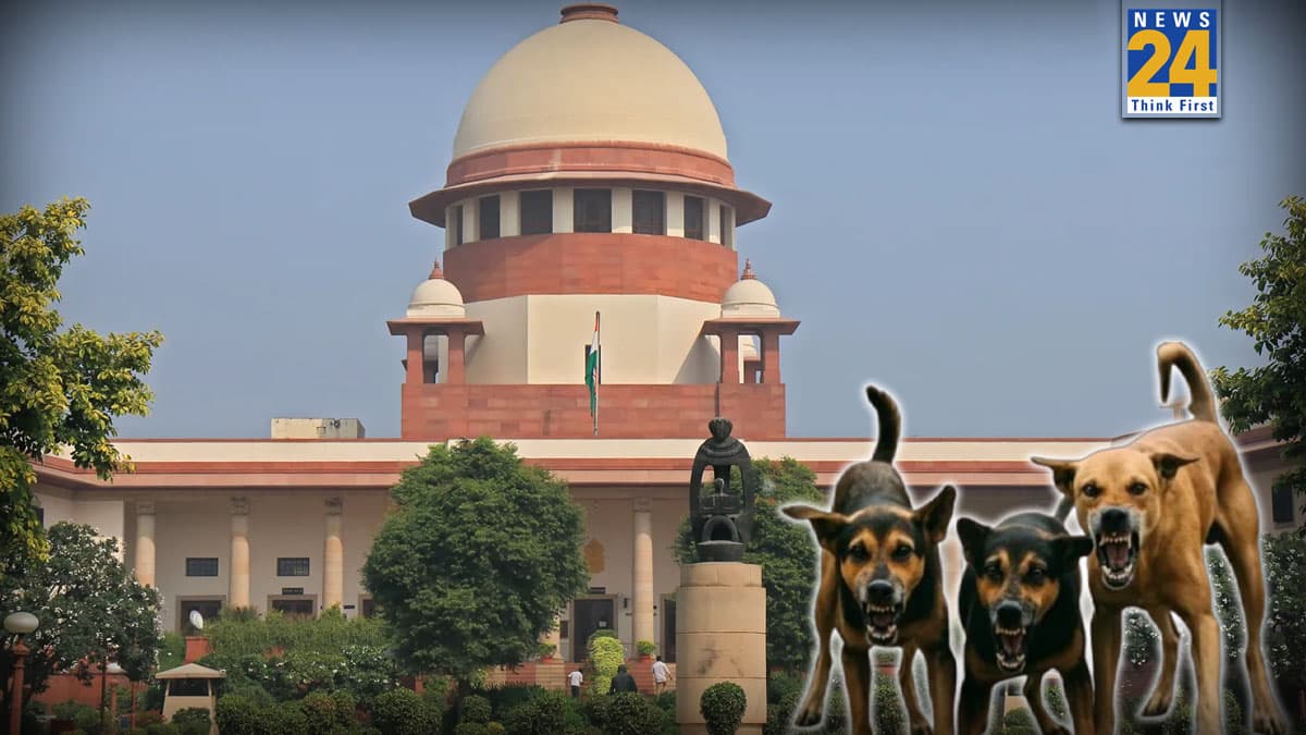 कुत्ता काटने पर सरकार को देना होगा भारी जुर्माना, SC ने खाना खिलाने वालों को भी फटकारा- शौक है तो घर के अंदर रखें