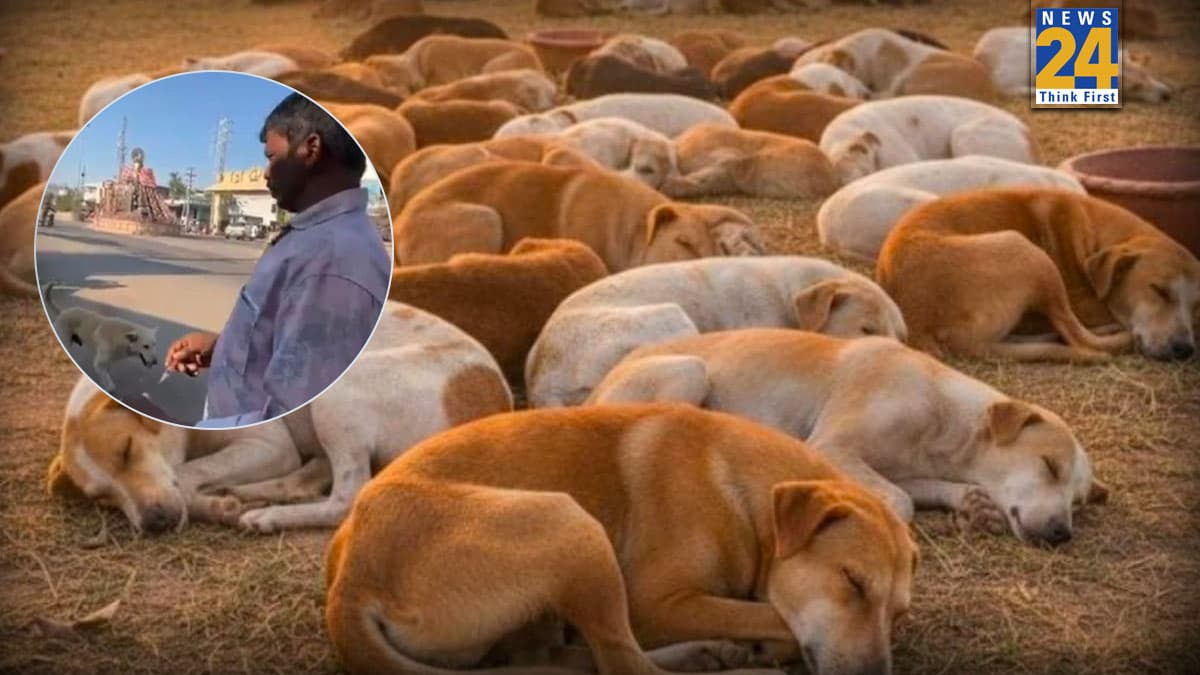 बेजुबानों से कैसी दुश्मनी! चुनावी वादा पूरा करने के लिए लगाई 500 कुत्तों को 'जहर की सुई', कैमरे में हुआ कैद