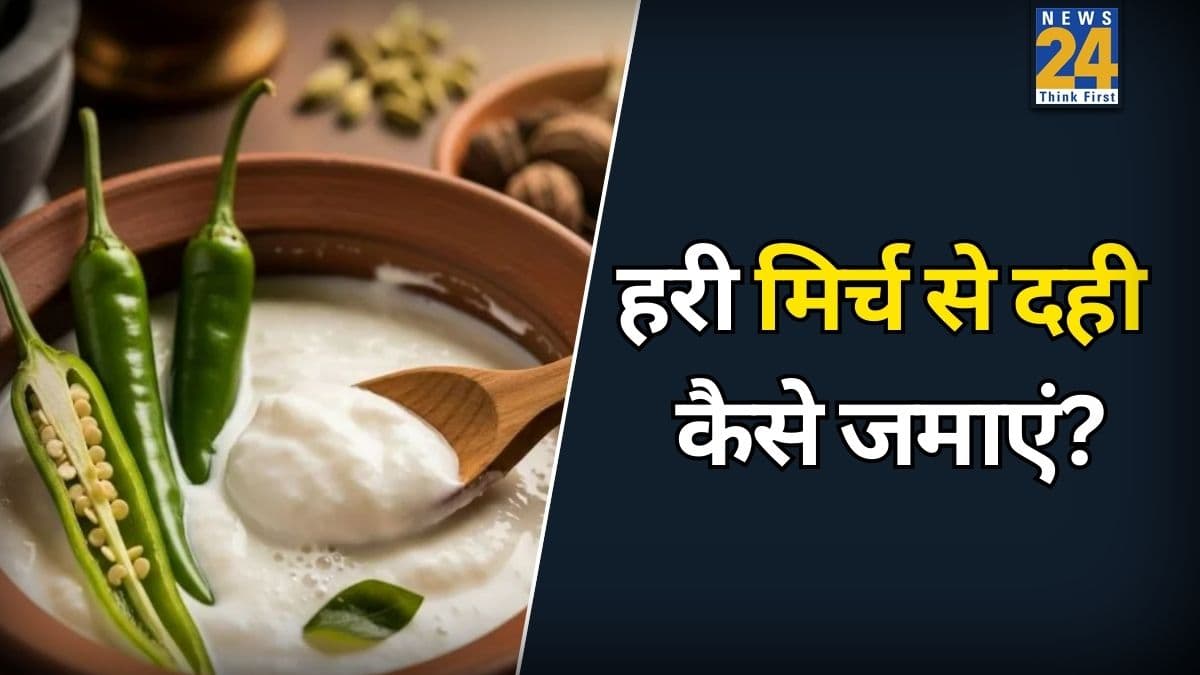 गर्म दूध में दो हरी मिर्च डालने से क्या होता है? यहां जानिए डेरी जैसा दही जमाने का देसी तरीका