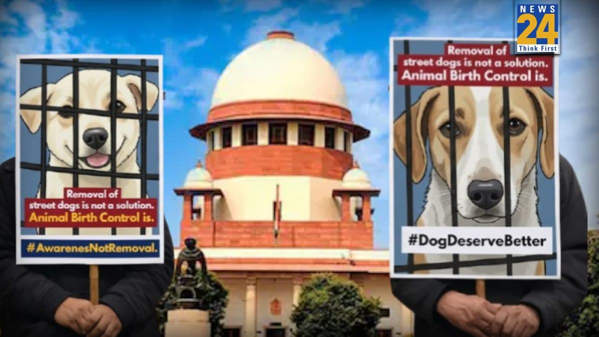 झारखंड ने तो हद ही कर दी! कुत्तों की नसबंदी का डेटा देख भड़का सुप्रीम कोर्ट, राज्यों को लगाई फटकार