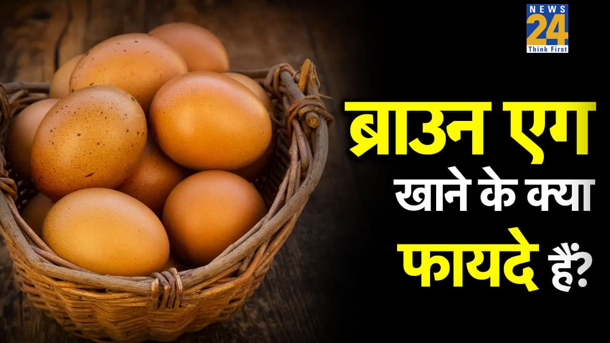 ब्राउन अंडा किस मुर्गी का होता है? डॉक्टर ने बताया सर्दियों में सफेद से ज्यादा ब्राउन खाने से मिलते हैं अद्भुत फायदे
