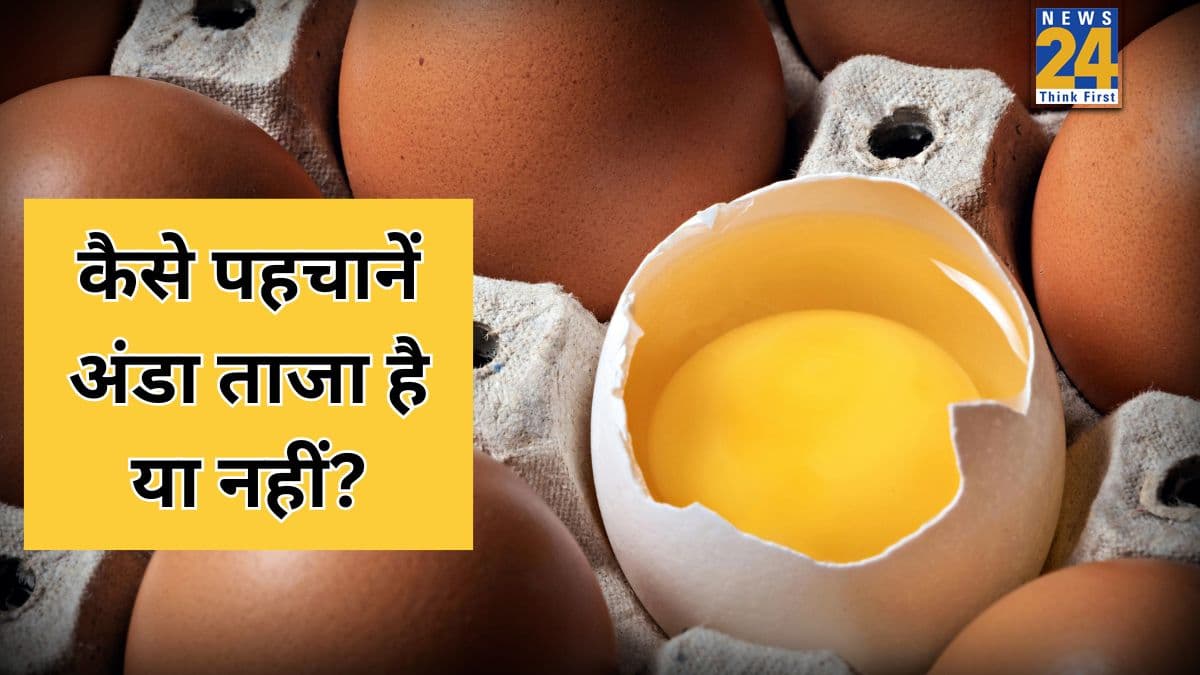 अंडा अच्छा है या नहीं कैसे चेक करें? न्यूट्रिशनिस्ट ने बताया इस एक ट्रिक से पता चलेगी अंडे की गुणवत्ता