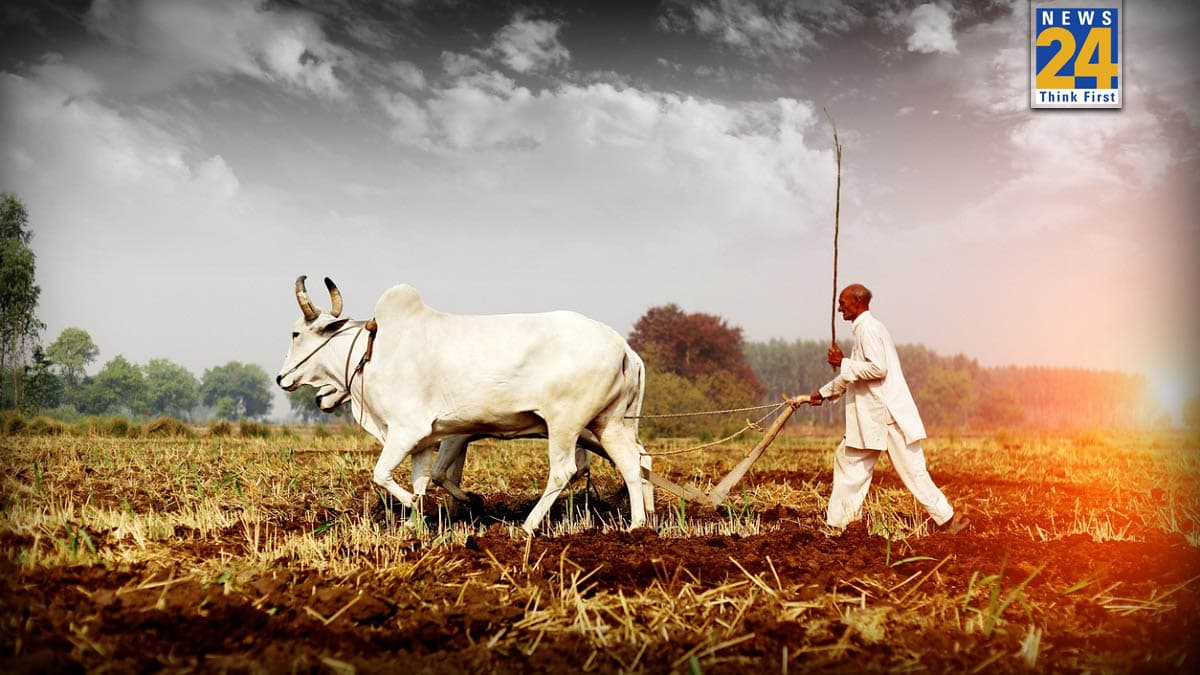 PM Kisan 22nd Installment : अगले महीने की इस तारीख को आ सकती है PM किसान योजना की 22वीं किस्त, ऐसे चेक करें स्टेट्स