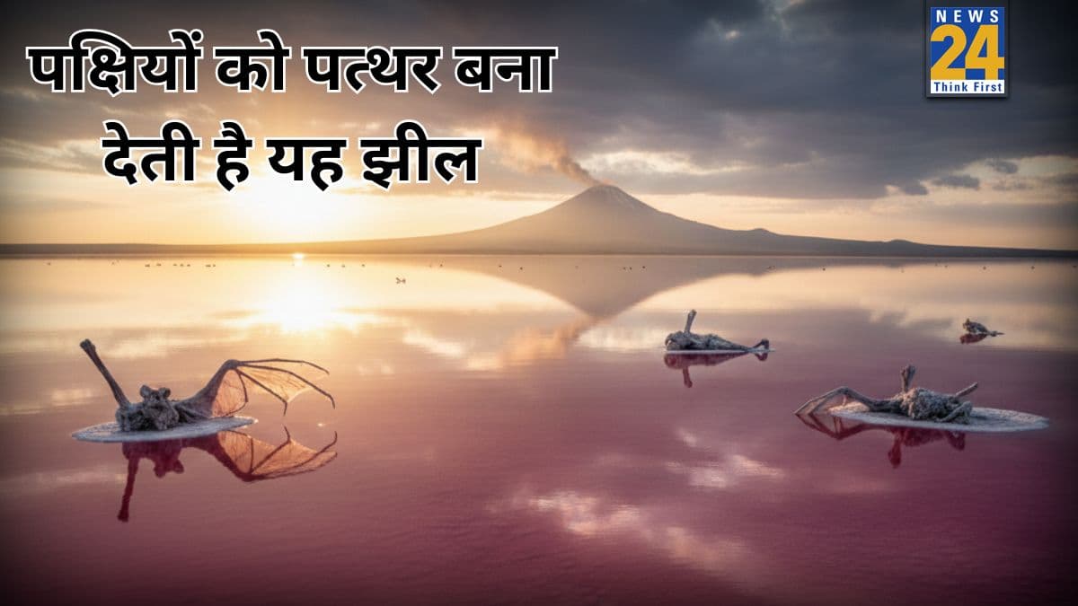 दुनिया की वो रहस्यमयी झील जहां पक्षी पानी छूते ही बन जाते हैं पत्थर, वैज्ञानिक भी दंग