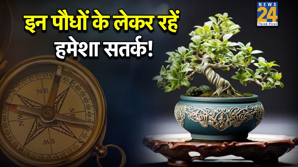 Plant Vastu Tips: घर के इन 3 पौधों का सूखना है खतरे की घंटी, सुख, सौभाग्य और स्वास्थ्य पर पड़ता है नेगेटिव असर