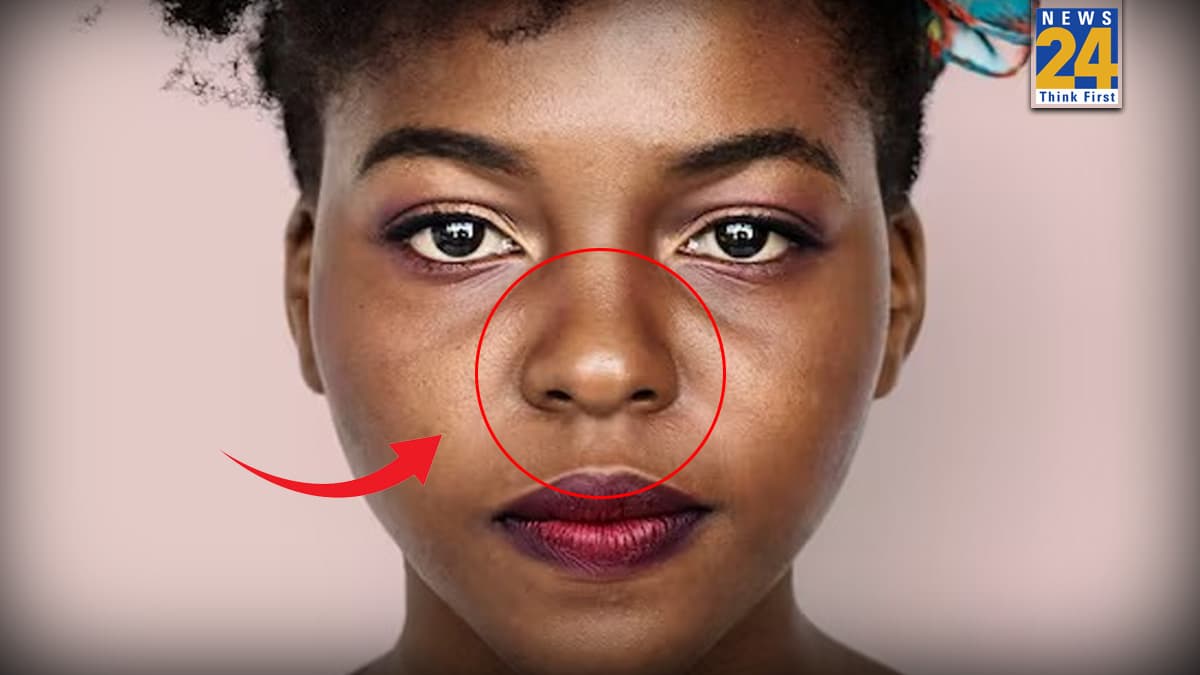 Round Nose: भाग्यशाली लोगों की होती है 'गोल नाक', सामुद्रिक शास्त्र से जानें शुभ संकेत