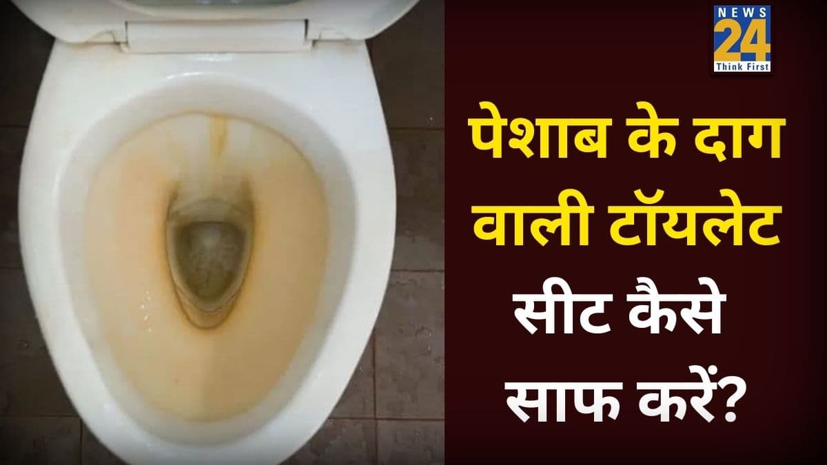 टॉयलेट सीट से पेशाब के दाग कैसे हटाएं? यहां जानिए बिना रगड़े साफ करने के लिए क्या करना चाहिए 