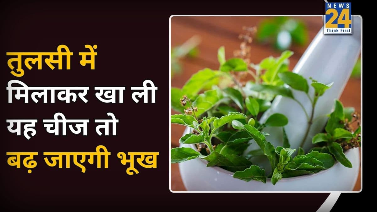 भूख बढ़ाने के लिए क्या करें? आचार्य बालकृष्ण ने कहा तुलसी में मिलाकर खा लें ये चीज, बच्चों और बड़ों सबको मिलेगा फायदा