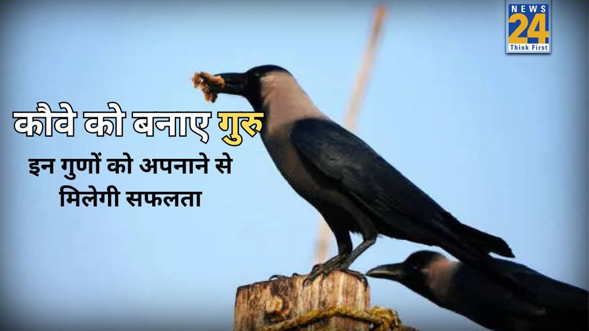 Success Tips: जब जीवन में हताशा और परेशानी हो, तो कौवे को बनाए गुरु, सीख लें ये गुण