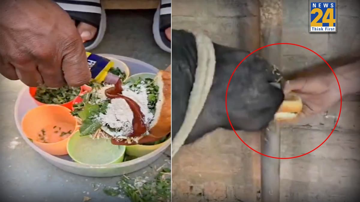 Viral Video: 'हमें लगा खुद खाएगा, भैंस को खिला दिया बर्गर', जुगाड़ देखकर आपको भी लग जाएगा झटका, देखें वीडियो