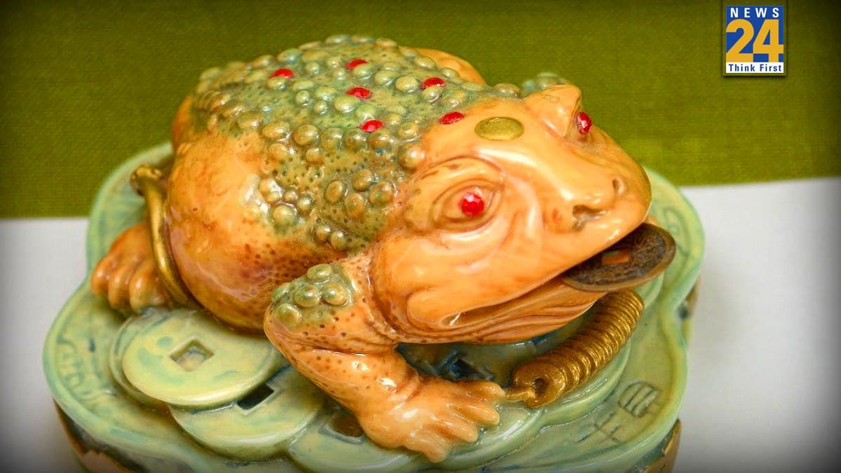 Money Frog Benefits: फेंगशुई में तीन टांग वाला मेंढक क्यों माना जाता है लकी, जानें घर-ऑफिस में रखने के फायदे