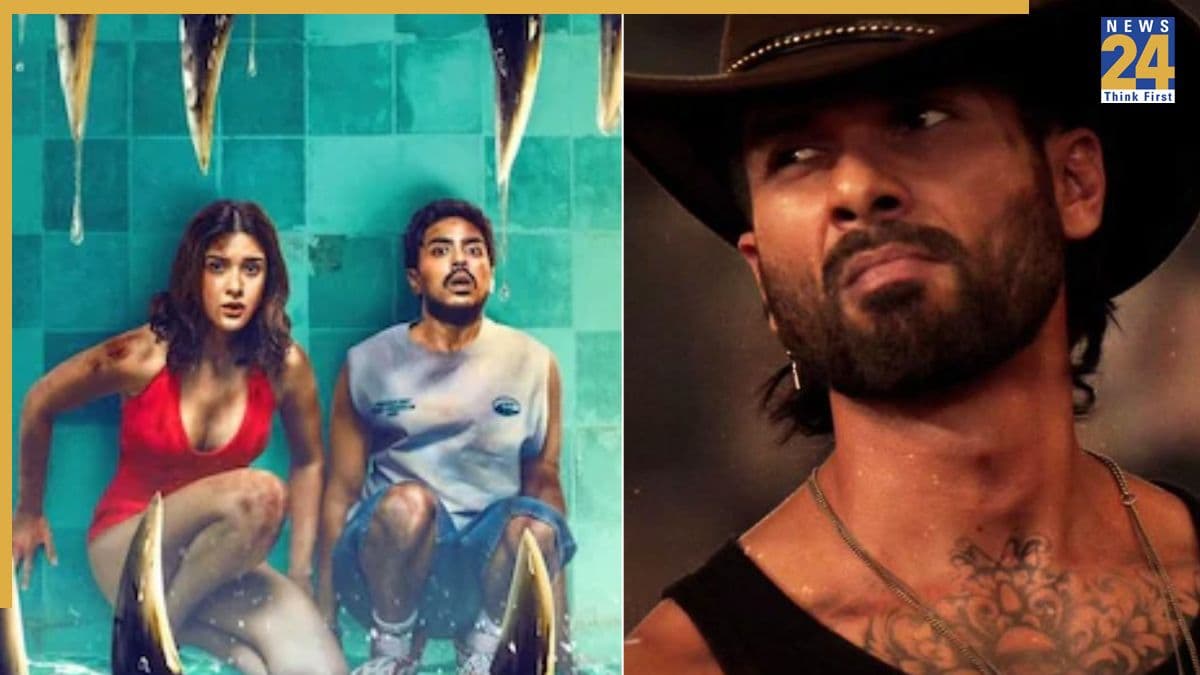 Box Office Collection: शाहिद कपूर की छठी सबसे बड़ी ओपनर बनी O Romeo, जानिए शनाया कपूर की मूवी का कैसा है हाल