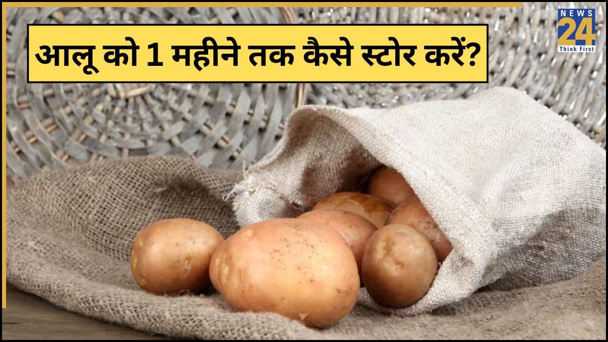 Potota Storing Tips: पूरे रमज़ान आलू को कैसे रखा जा सकता है? यहां जानिए स्टोर करने के 6 जबरदस्त हैक्स