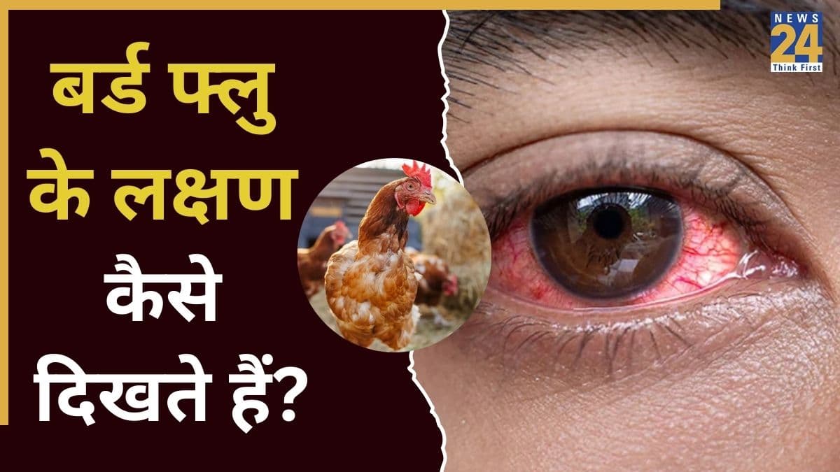 Bird Flu होने पर शरीर पर दिखने लगते हैं ये लक्षण, यहां जानिए इंसानों को बर्ड फ्लू हो जाए तो क्या होता है