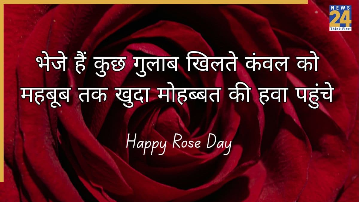 Rose Day 2026 Wishes: मेरे लिए तो खिलता हुआ गुलाब हो तुम… किसी खास को भेजिए Rose Day के ये खूबसूरत मैसेज और फोटोज