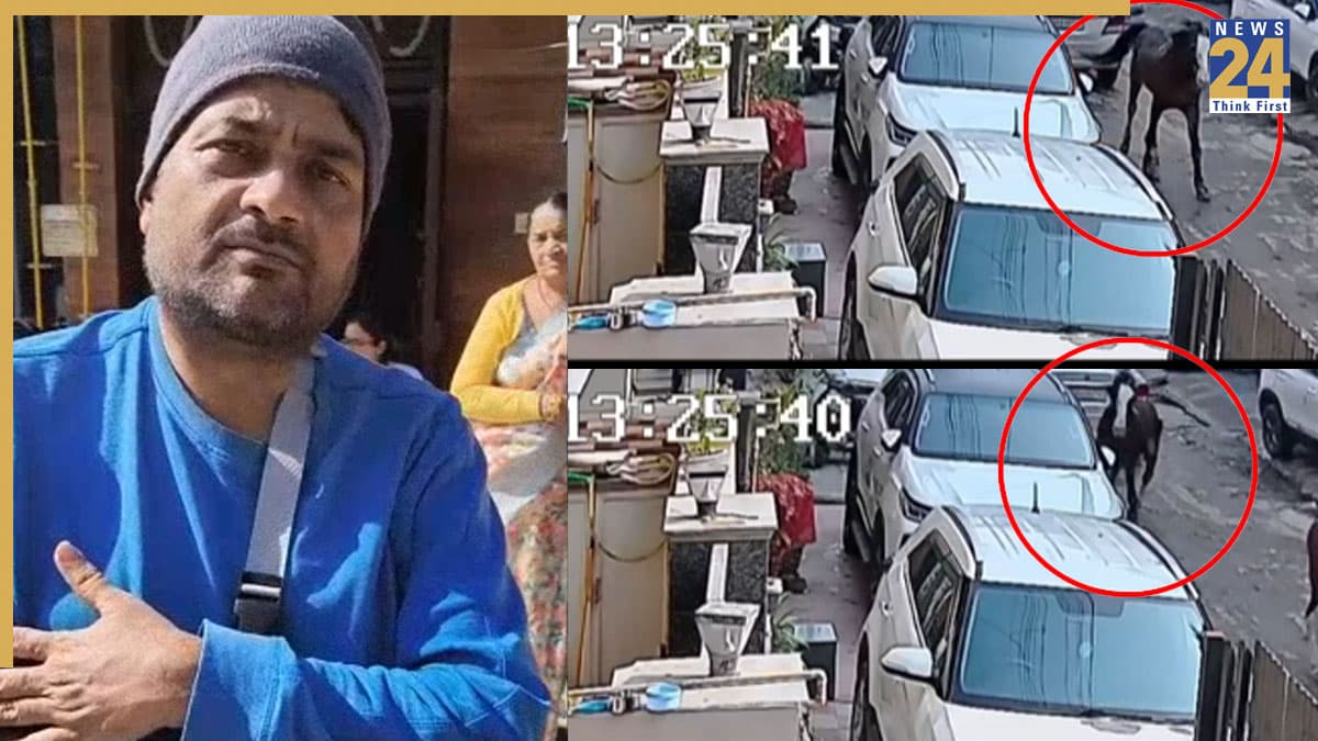 पानीपत में 'पागल' हुए घोड़े, किसी का सीना चबाया… तो किसी की हड्डियां तोड़ीं