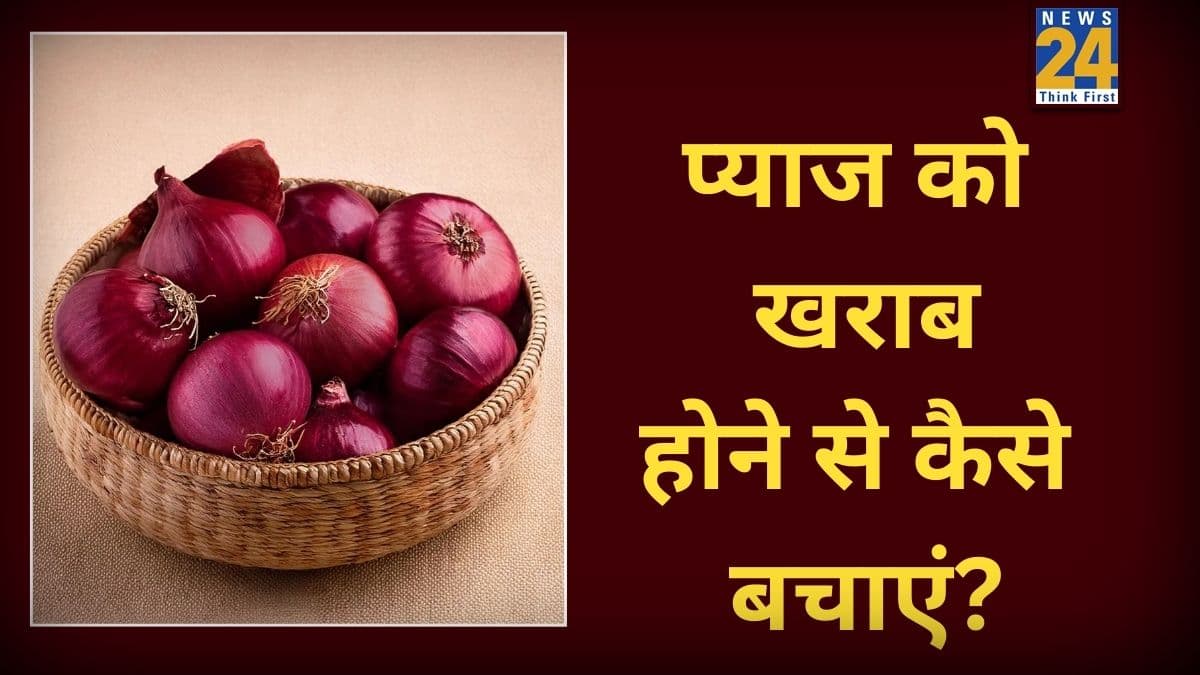 Storing Tips: प्याज को अंकुरित होने से कैसे बचाएं? किचन में स्टोर करते वक्त इन 2 चीजों का करें इस्तेमाल