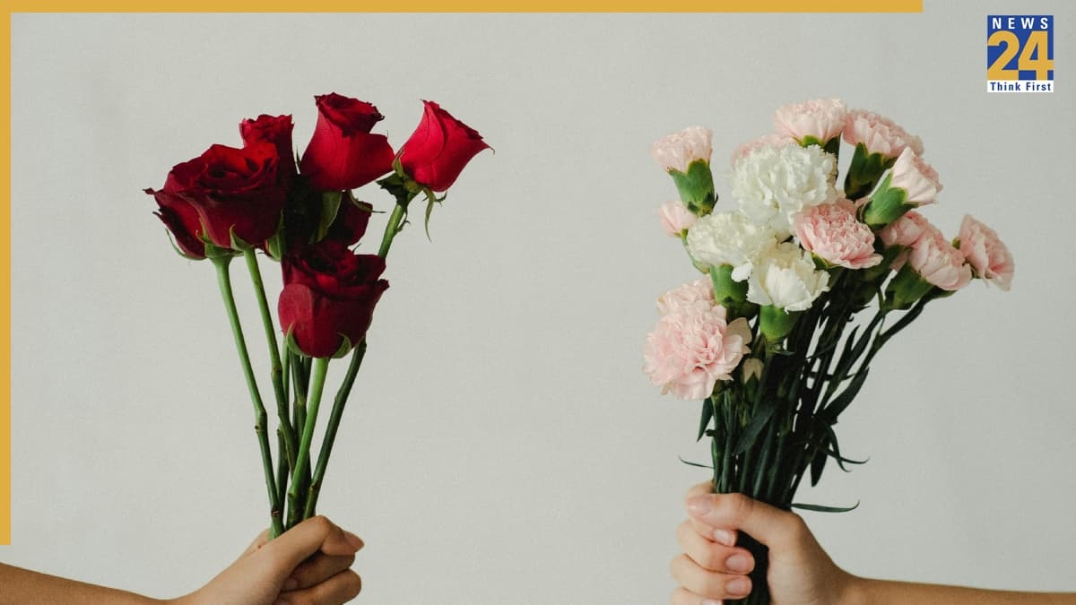 Rose Day 2026: आज है वैलेंटाइन वीक का पहला दिन रोज डे, जानिए क्यों मनाते हैं यह दिन, क्या है इतिहास
