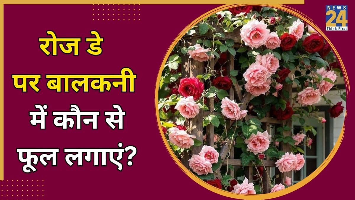 गार्डन में चाहिए रेड कलर के फूल? Rose Day पर बालकनी की रौनक बढ़ाने के लिए लगाएं रेड फूलों वाले ये 3 खूबसूरत पौधे