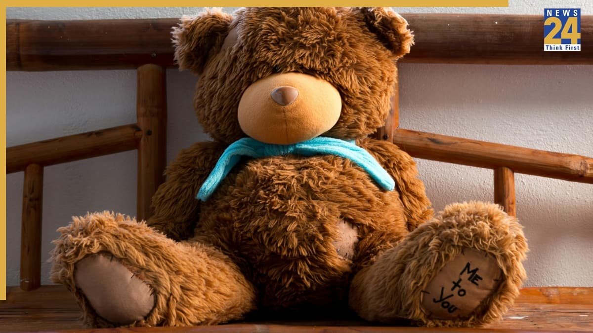 Teddy Day 2026: आज है टेडी डे, जानिए क्या है इस दिन के पीछे की कहानी, क्यों है वैलेंटाइन वीक का ये सबसे खास दिन