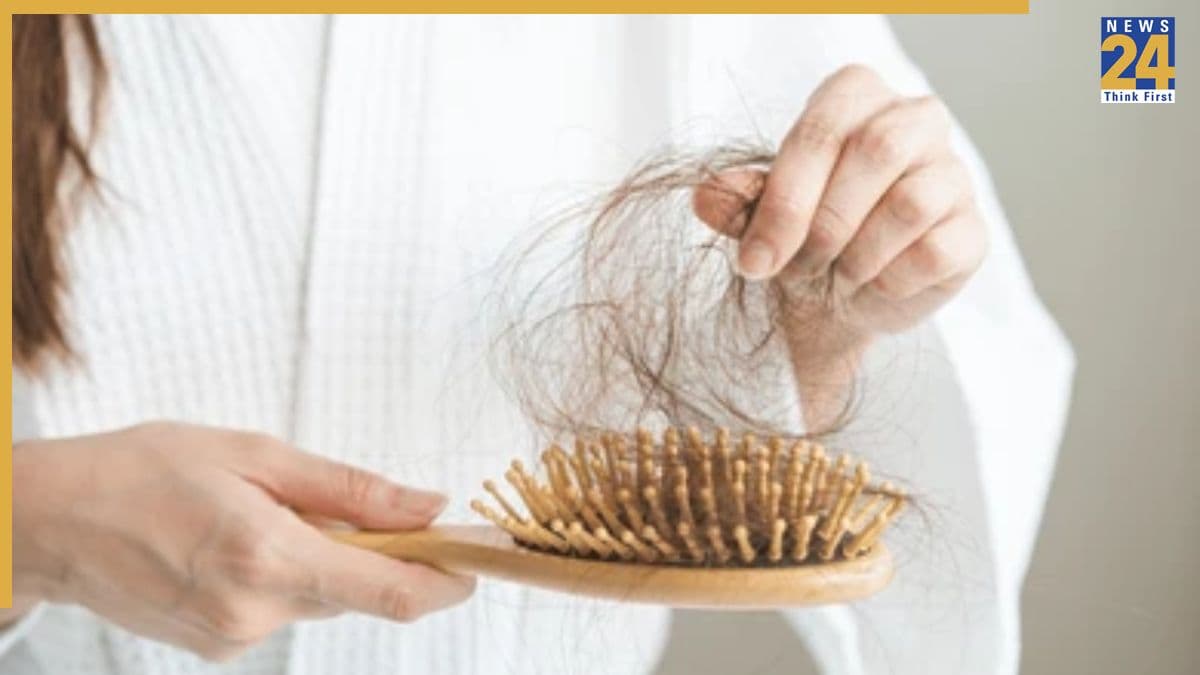 Bhringraj for Hair: झड़ते बालों के लिए अमृत है भृंगराज पाउडर, यहां जानिए इस्तेमाल करने का सही और असरदार तरीका