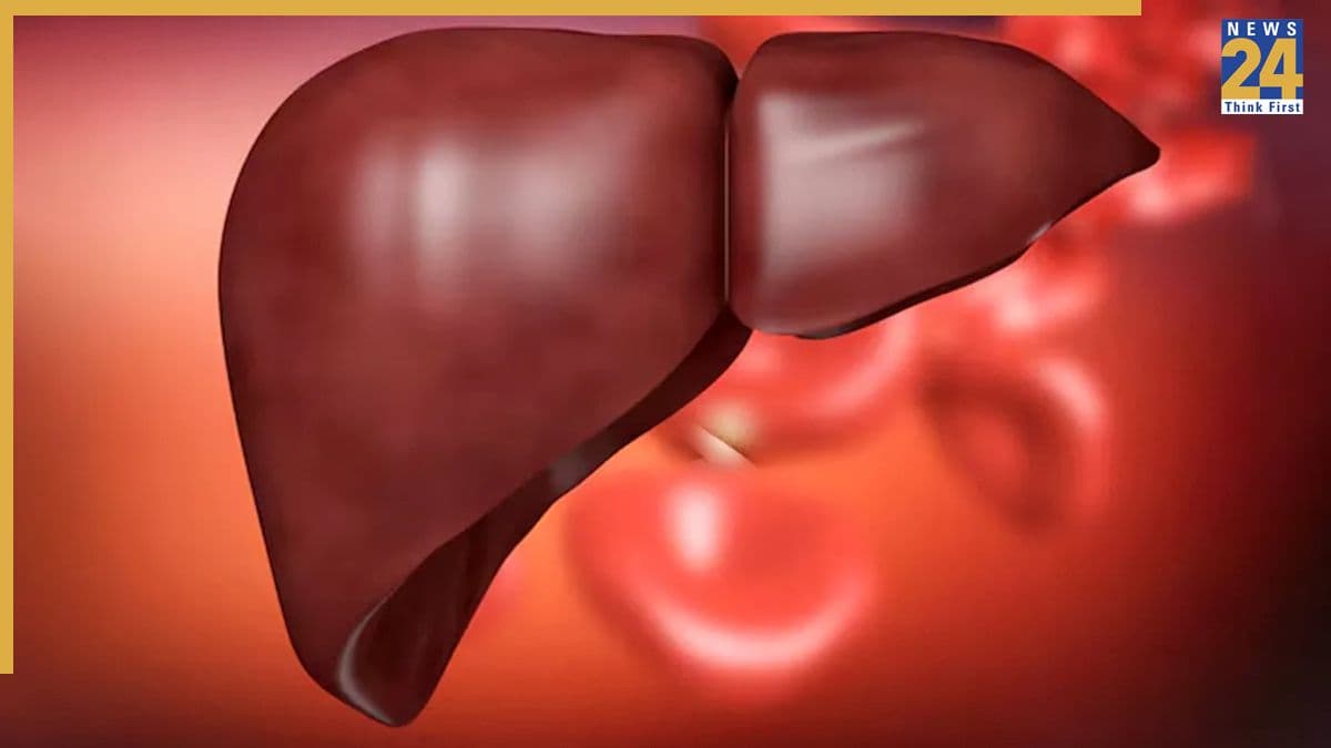 महिलाएं फैटी Liver कम करने के लिए क्या करें? एक्सपर्ट ने बताया किचन में रखीं ये 3 सामग्रियां आएंगी बेहद काम