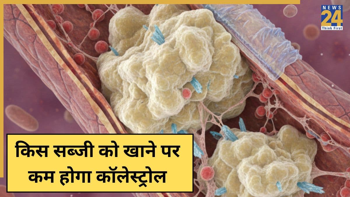 हाई कोलेस्ट्रॉल के लिए कौन सी सब्जियां अच्छी हैं? एक्सपर्ट्स का कहना है यह एक सब्जी तो जरूर खानी चाहिए