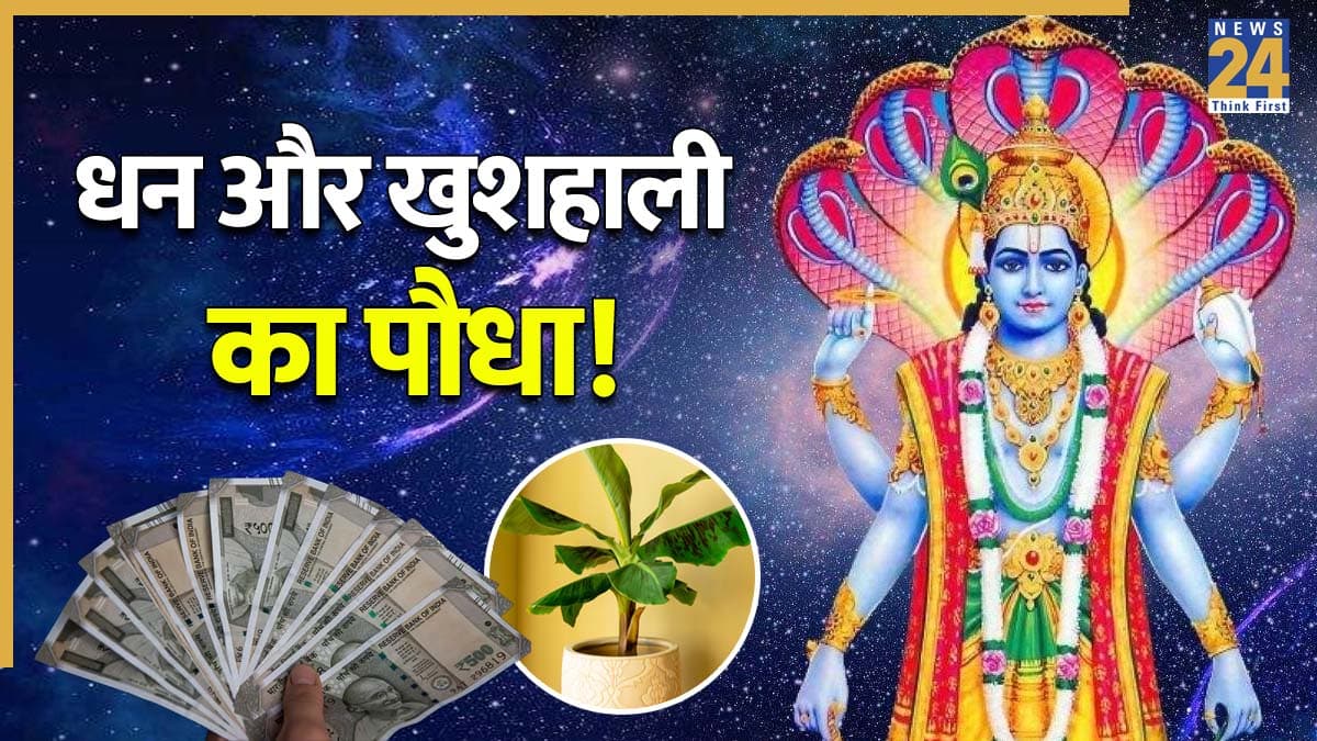 Kele ka Ped: गुरुवार को घर की इस खास दिशा में लगाएं केले का पौधा, जीवन में आएगी खुशहाली; होगा धन-लाभ