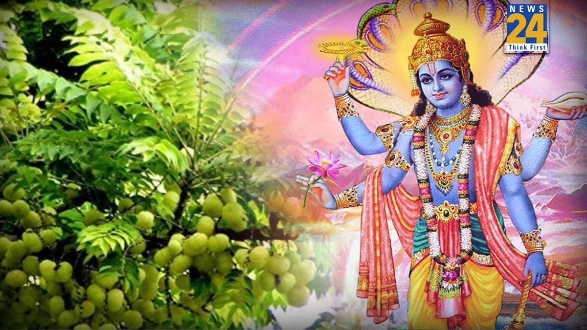 Amalaki Ekadashi 2026 Date: आमलकी एकादशी कब है, क्यों महत्वपूर्ण है? जानें सही डेट, पूजा विधि