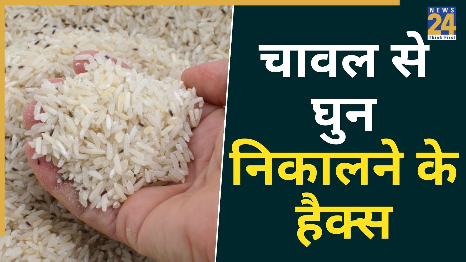 चावल के कंटेनर में हो गए हैं कीड़े? इन ट्रिक्स से तुरंत करें साफ… चुटकियों में हो जाएगा काम