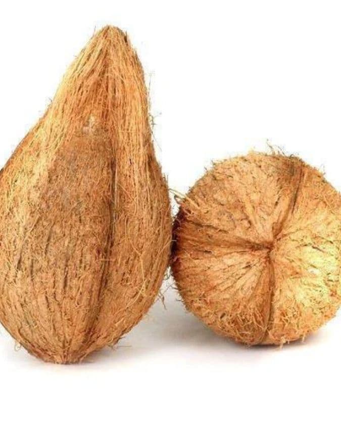 सूखे नारियल को लेकर खास नियम