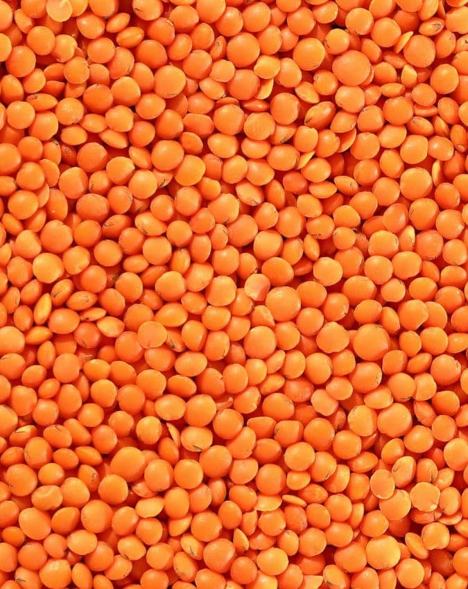 लाल मसूर की दाल 
