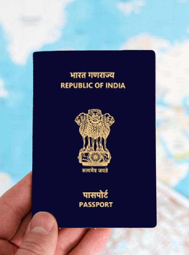 ई-वीजा की वैलिडिटी और फीस