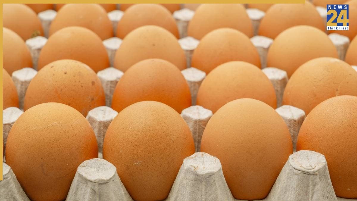 Largest Egg Producing Country (6)