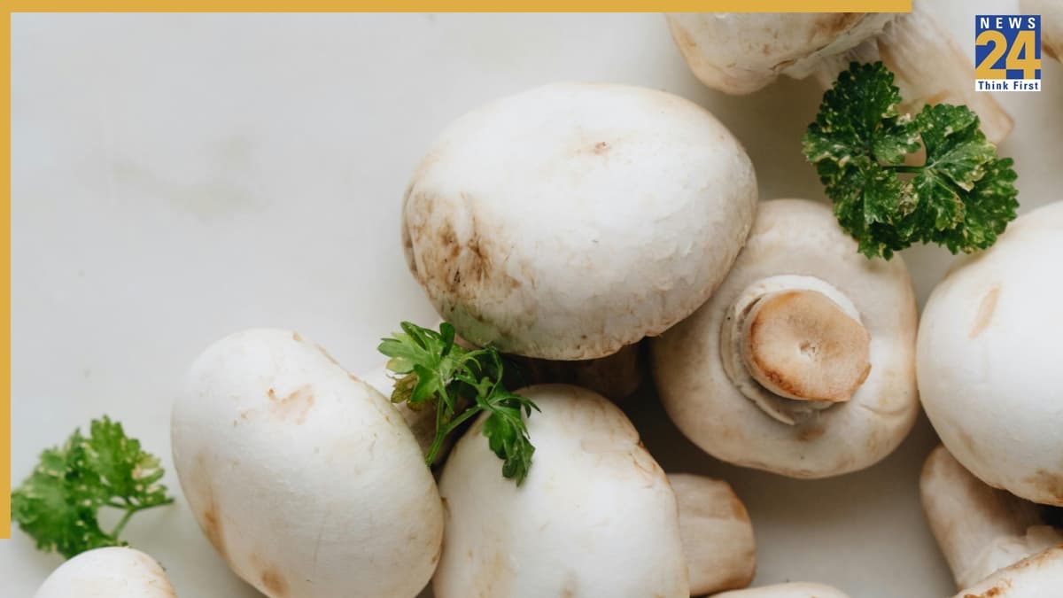 Mushroom Benefits: मशरूम के 5 बड़े फायदे जान आज ही खाना शुरू कर देंगे आप! जानिए क्यों है खास?