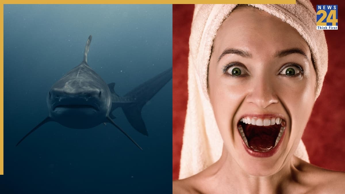 Strong Teeth Comparison