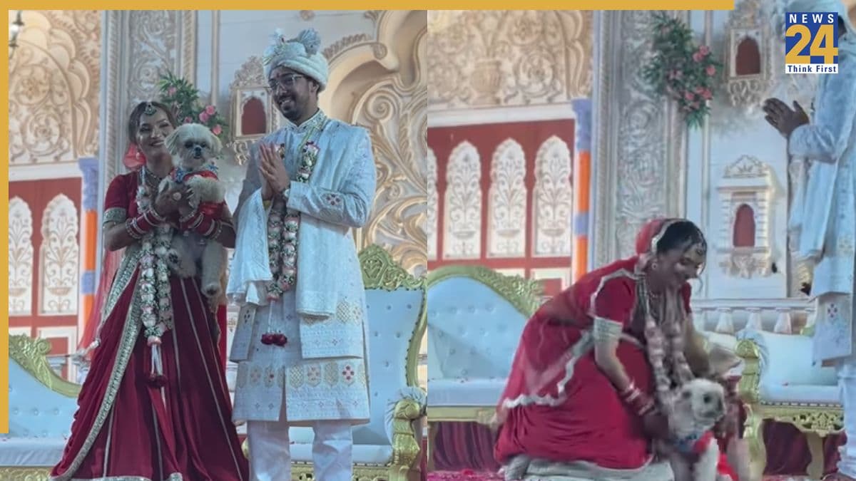 वेडिंग स्टेज पर डॉगी की एंट्री, दुल्हन ने प्यार से उठाया तो छा गया VIDEO