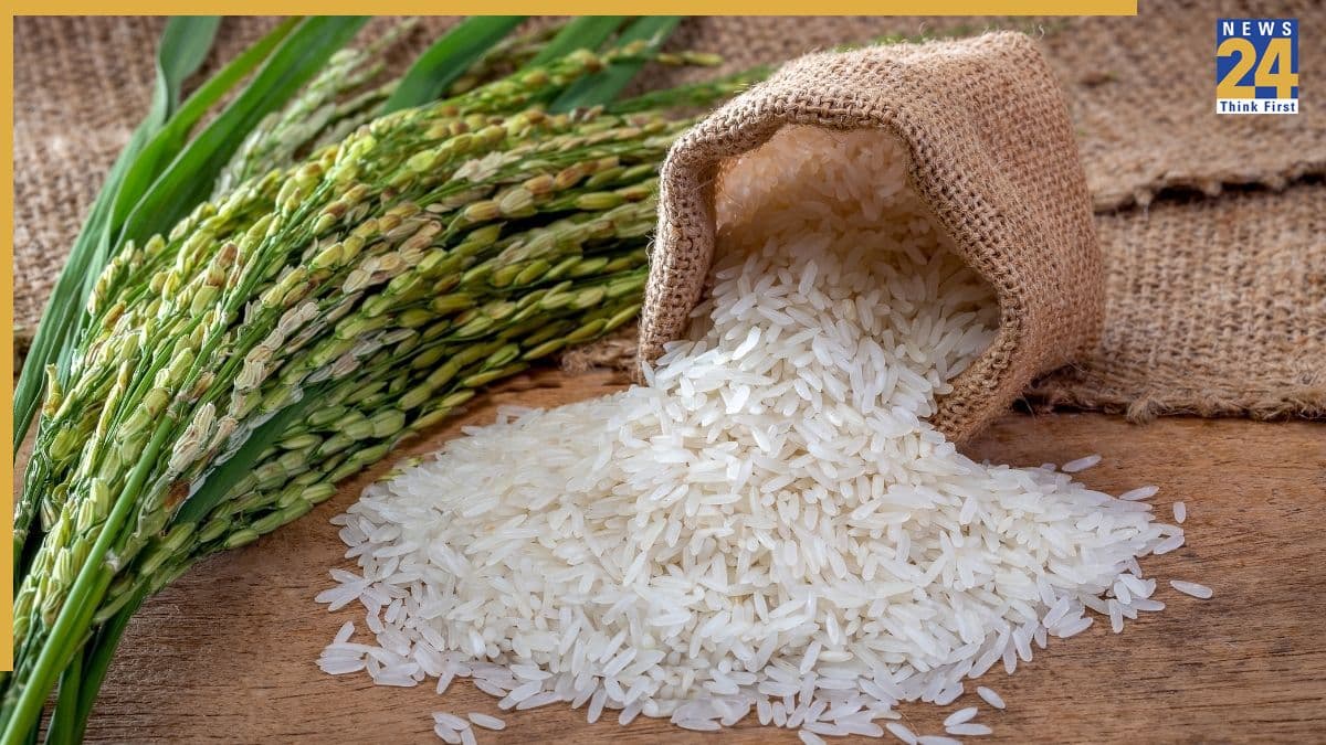 Which State Is Known As The Rice Capital Of India