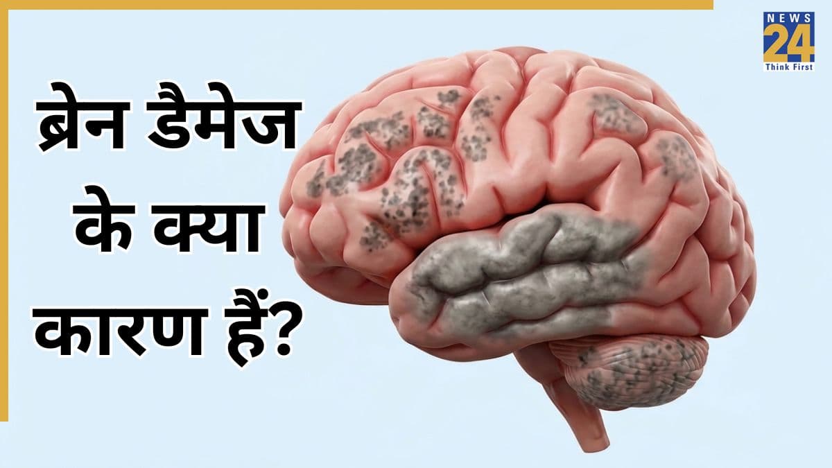 दिमाग की दुश्मन है आपकी यह गलती, डॉक्टर ने बताया रात की ये आदतें आपके ब्रेन को कर सकती हैं डैमेज