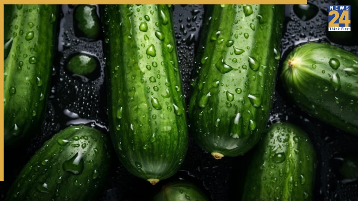 cucumber diet