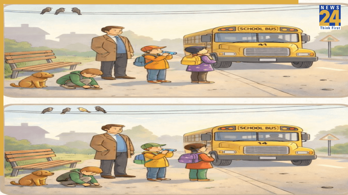 find the diffrence find the diffrence